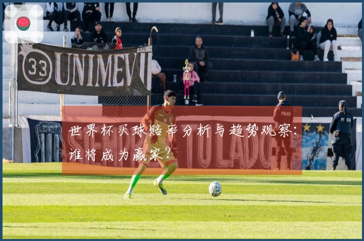 世界杯买球赔率分析与趋势观察：谁将成为赢家？