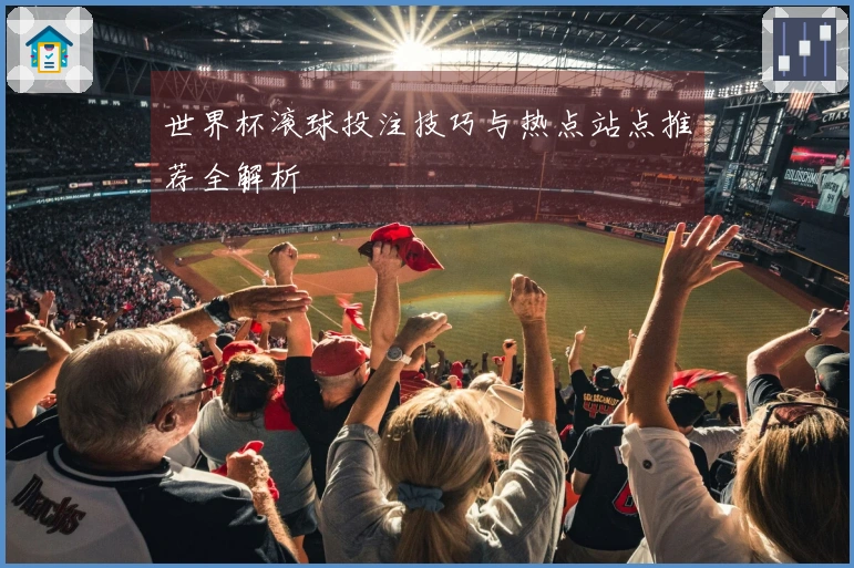 世界杯滚球投注技巧与热点站点推荐全解析