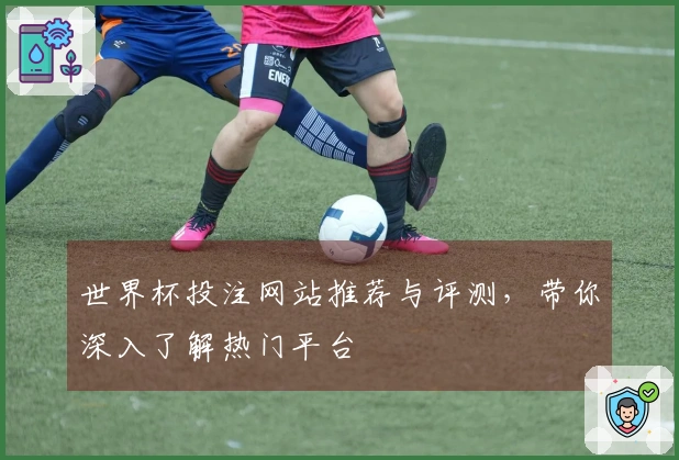 世界杯投注网站推荐与评测，带你深入了解热门平台