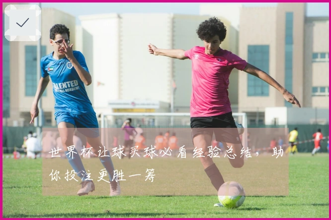 世界杯让球买球必看经验总结，助你投注更胜一筹