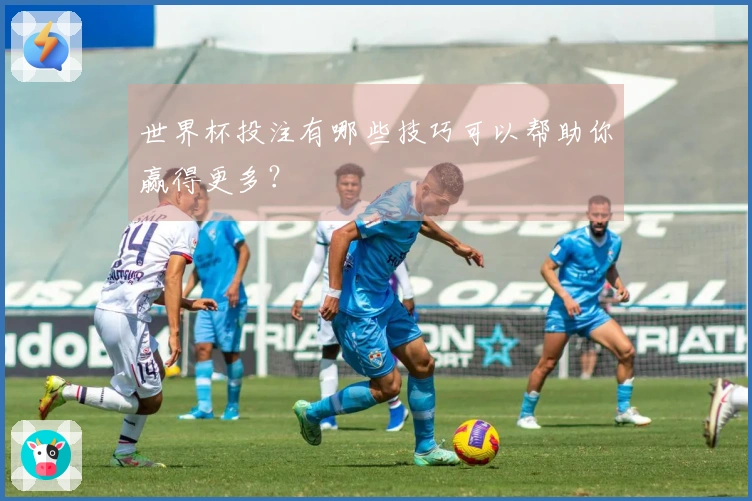 世界杯投注有哪些技巧可以帮助你赢得更多？