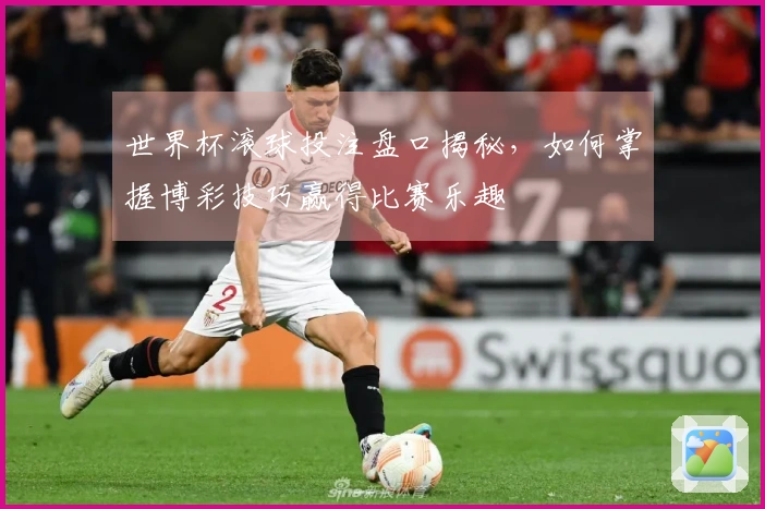 世界杯滚球投注盘口揭秘，如何掌握博彩技巧赢得比赛乐趣